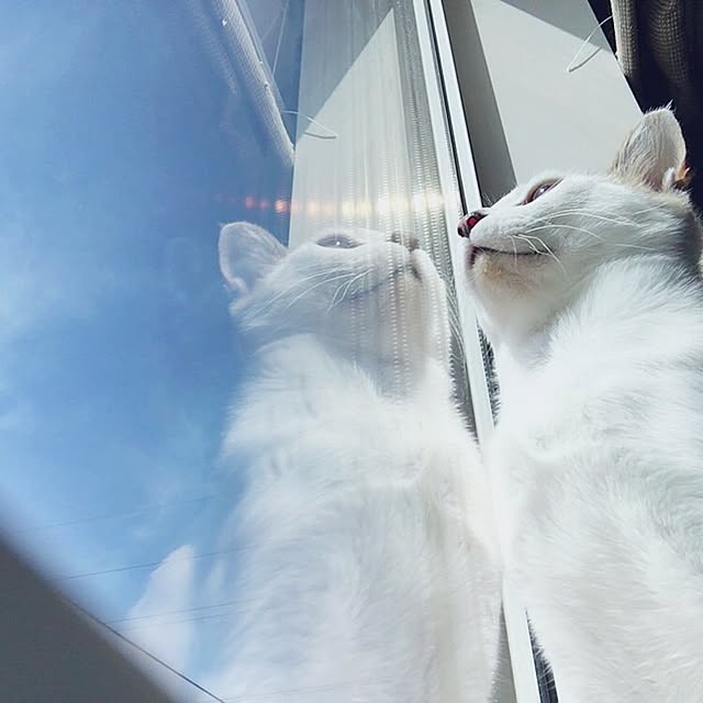 akikoさんの実例写真