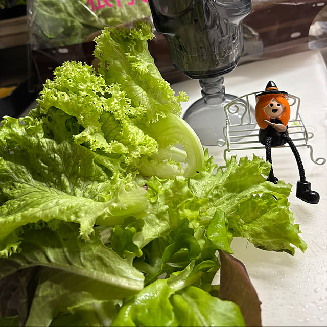 syutmmさんの部屋