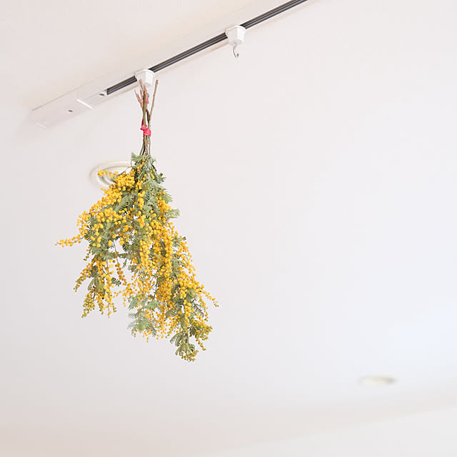 pyokopyokopさんの実例写真