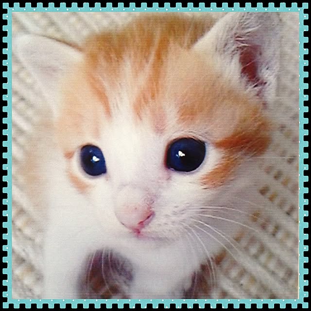 Kinanさんの実例写真
