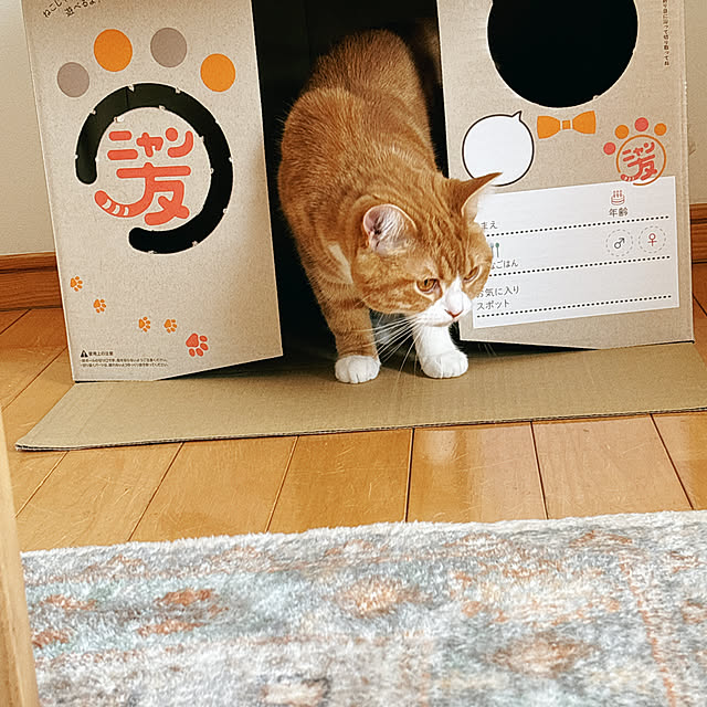 madeleineさんの実例写真