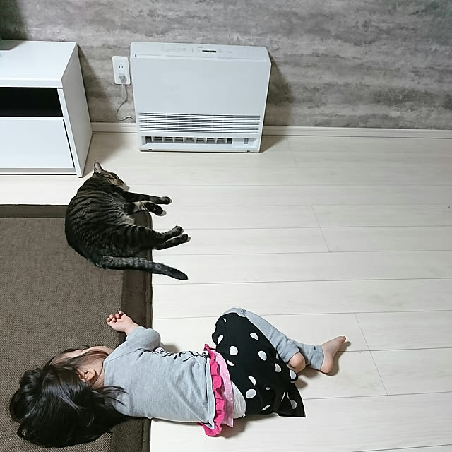 ka-koさんの実例写真