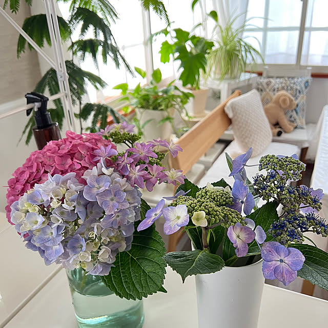 yukarimamaさんの部屋