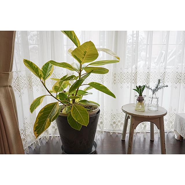 haruisabelさんの部屋