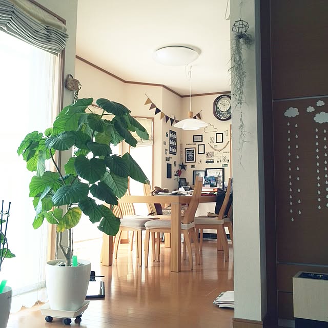 ebimasaさんの実例写真