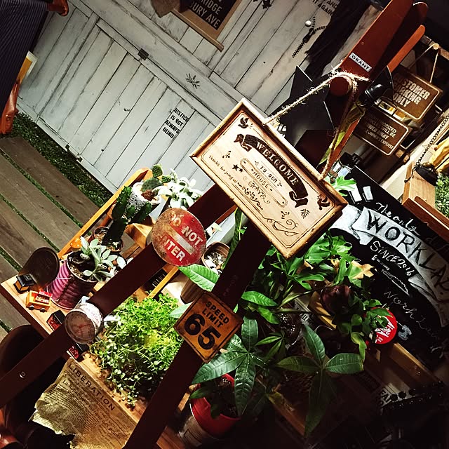 M.T.mikio-dethさんの実例写真