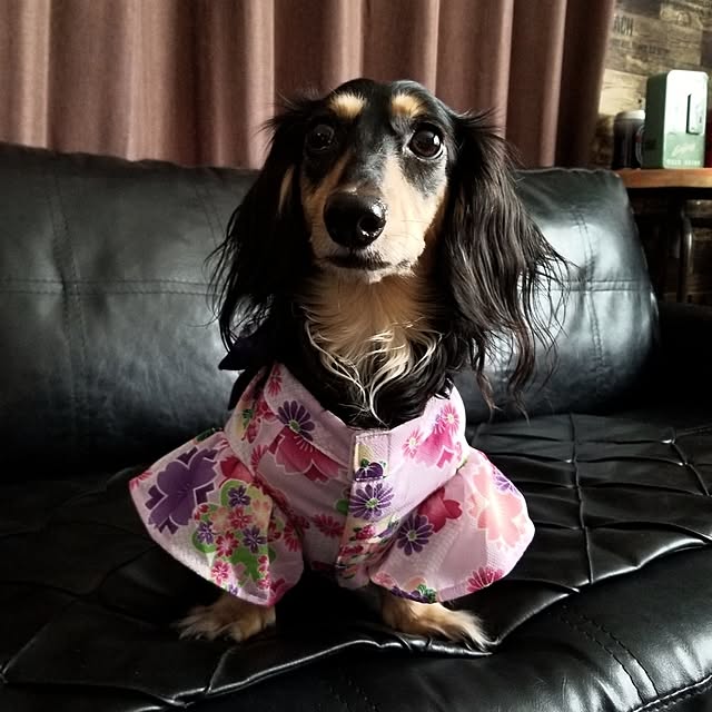 momozouさんの部屋