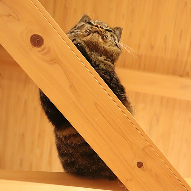 onsix777さんの部屋