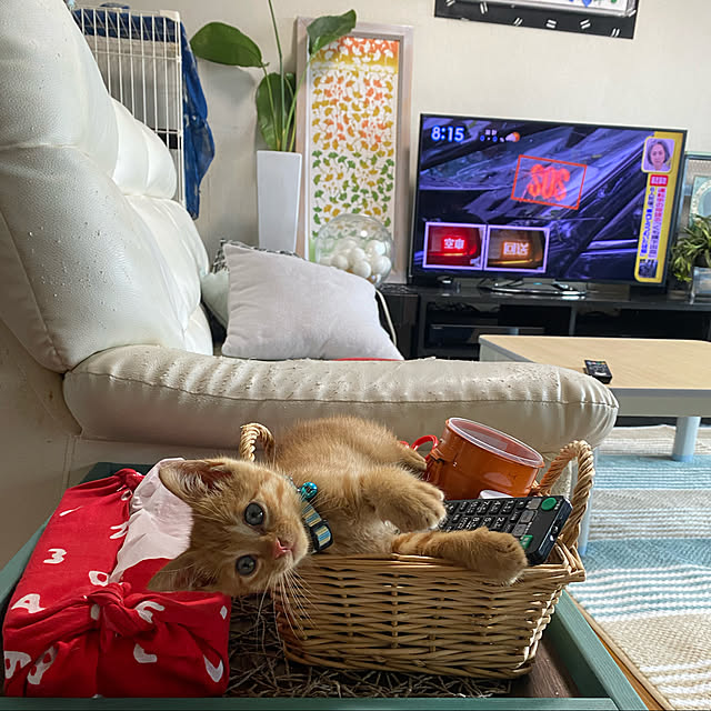 naoさんの実例写真