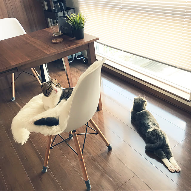 tansukeさんの実例写真