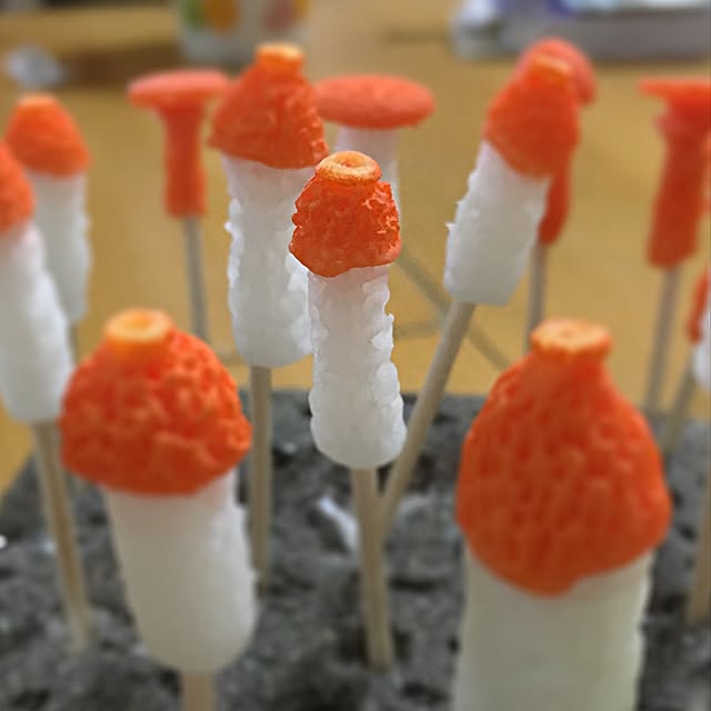 ramuchop3000さんの実例写真