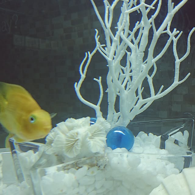 mhkさんの実例写真