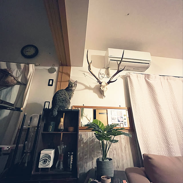 Mさんの実例写真