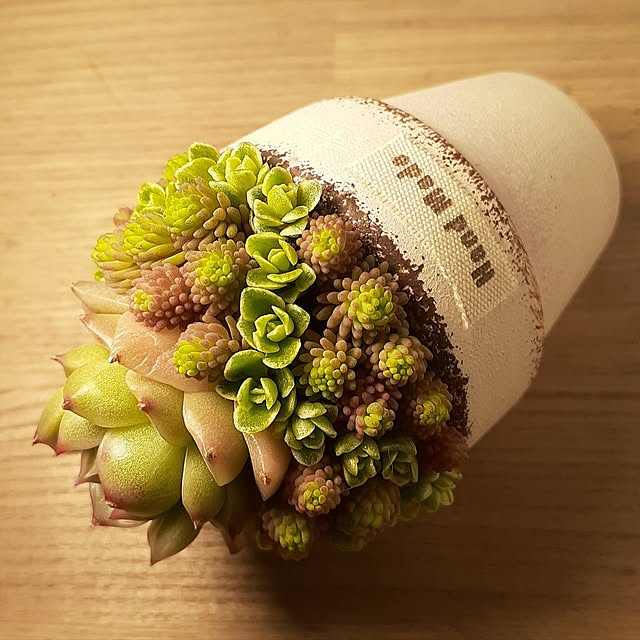 amtさんの実例写真