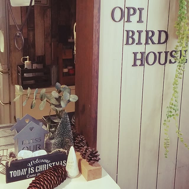 opiopiopiさんの実例写真
