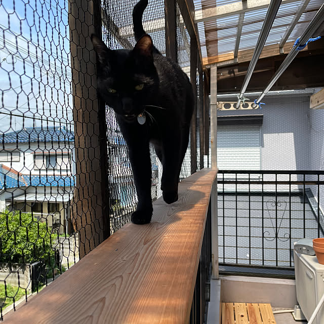 coolcats0528さんの実例写真