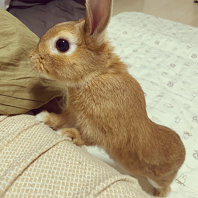 Natsuさんの部屋