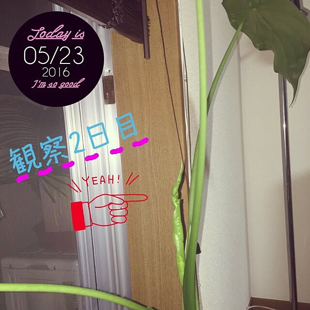 chome_tarouさんの実例写真