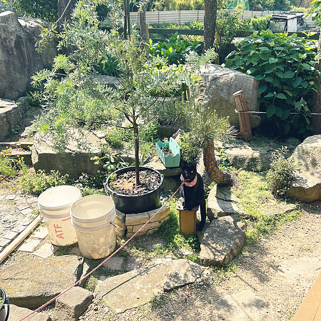 chiechanさんの実例写真
