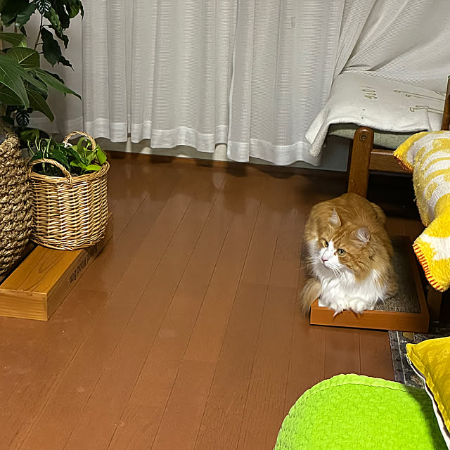uchidaizuさんの実例写真