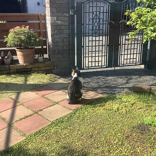 haruminさんの部屋