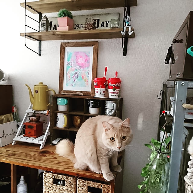 Lukiさんの実例写真