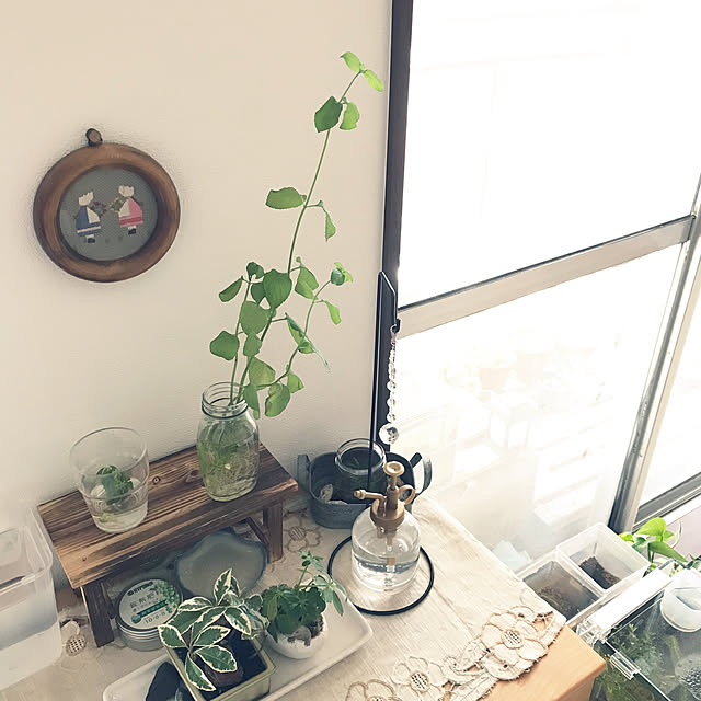 mi-saさんの部屋
