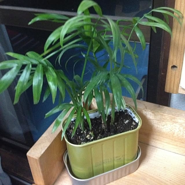 kappaさんの実例写真