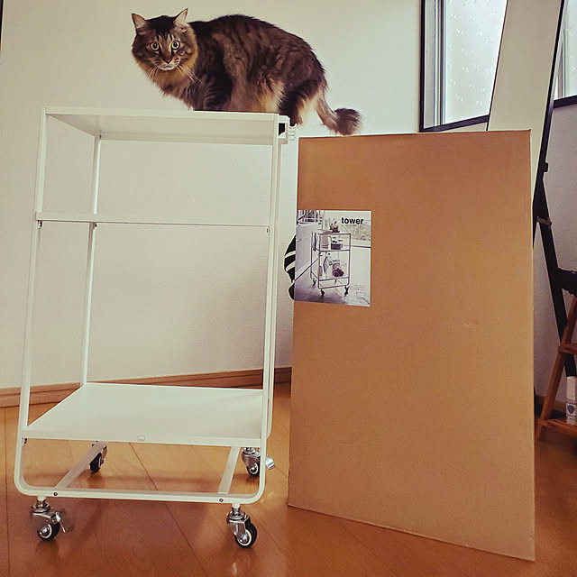 makoさんの実例写真