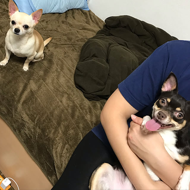 nacchintunnさんの実例写真