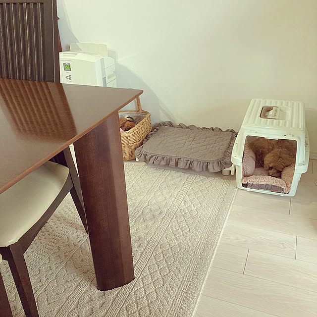 usagichanさんの部屋