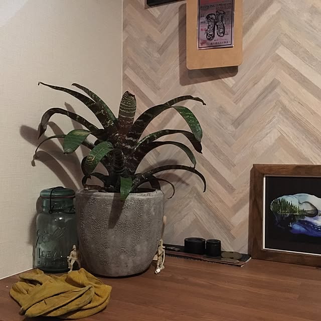 w1ngr0ckさんの実例写真