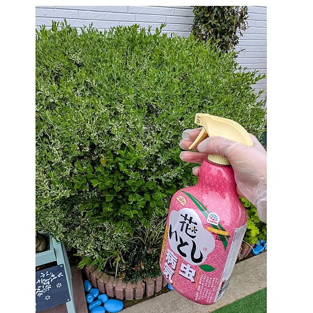 Miyumamaさんの実例写真