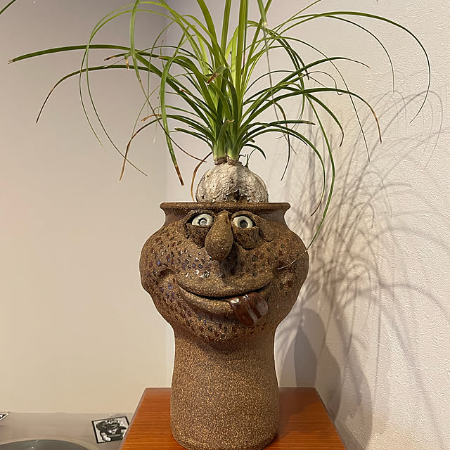 maruさんの実例写真