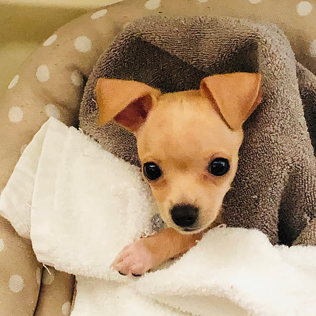 Hiropon2さんの実例写真