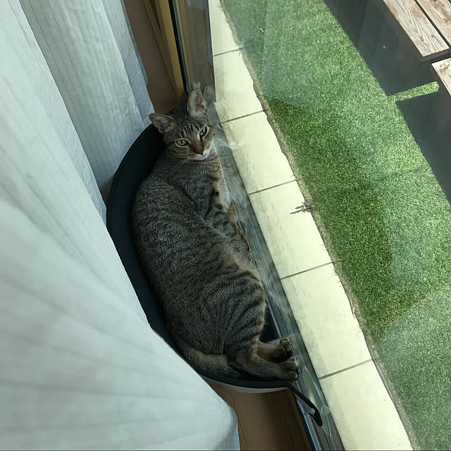 yuki0511さんの実例写真