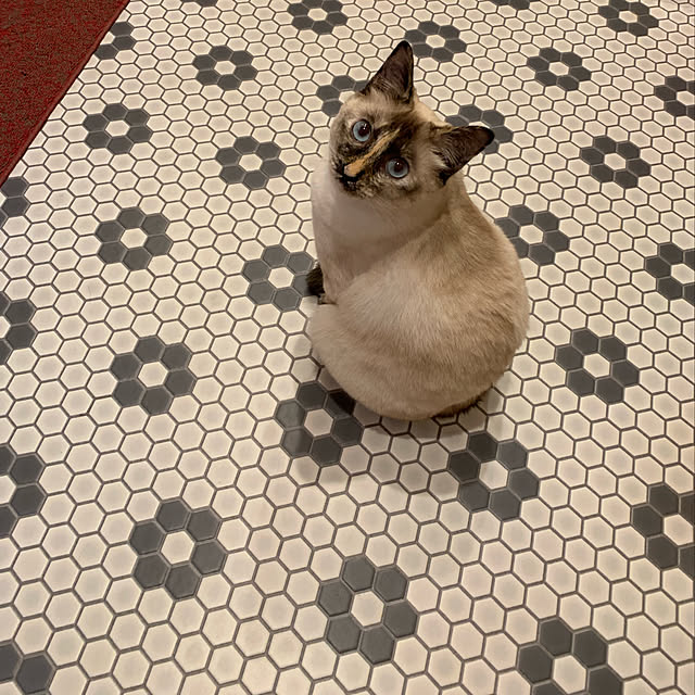 miyaさんの実例写真