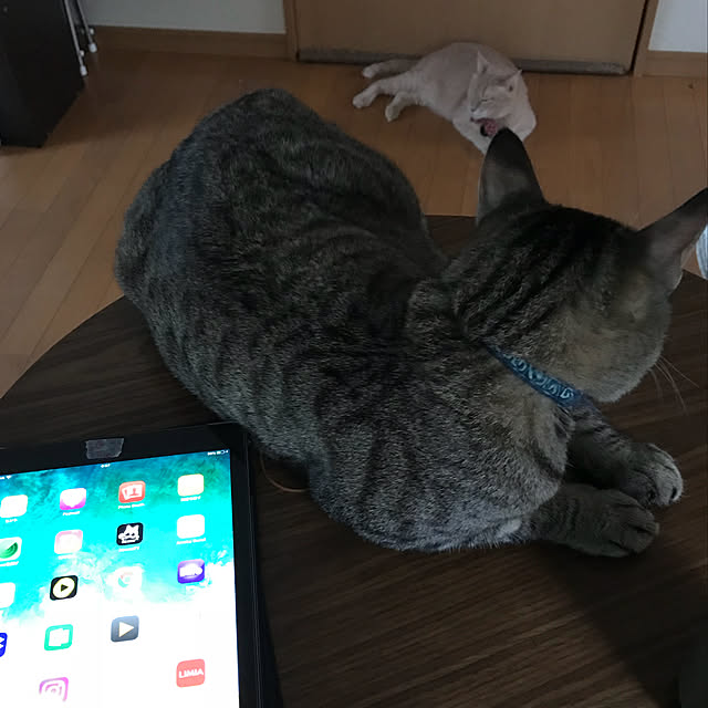 mikan161さんの実例写真