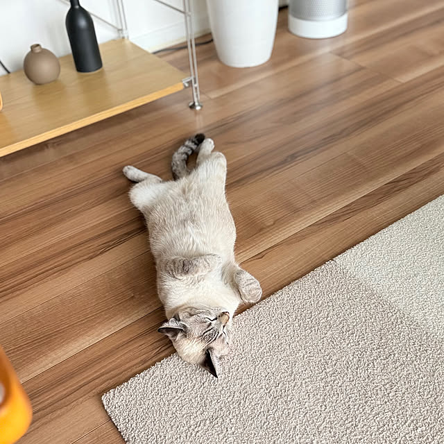 amさんの実例写真