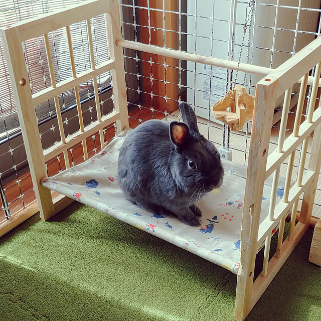 makotomosukeさんの実例写真