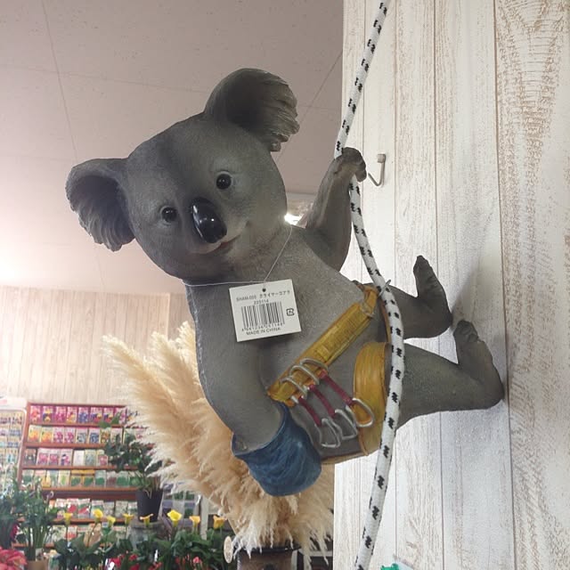Bobさんの実例写真