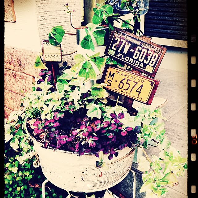 Rans_andy.さんの実例写真