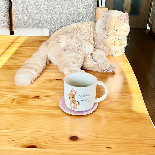 naokoさんの部屋
