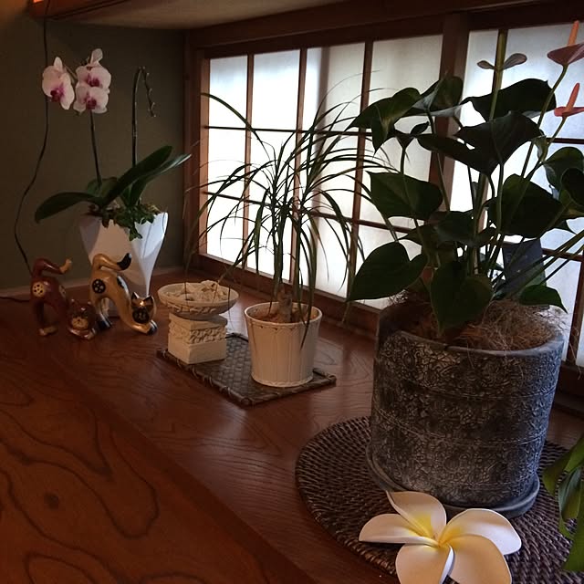 HARAさんの実例写真