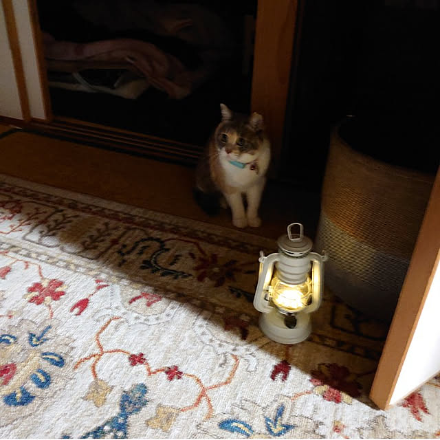 fukuさんの実例写真