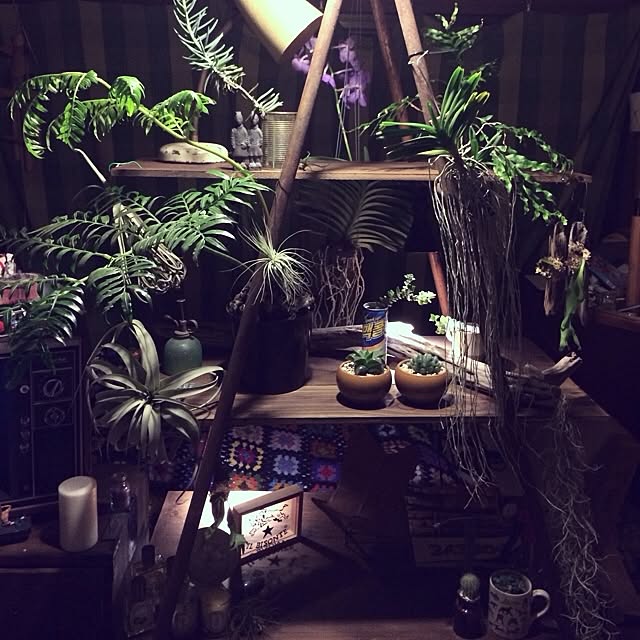 zutanさんの実例写真
