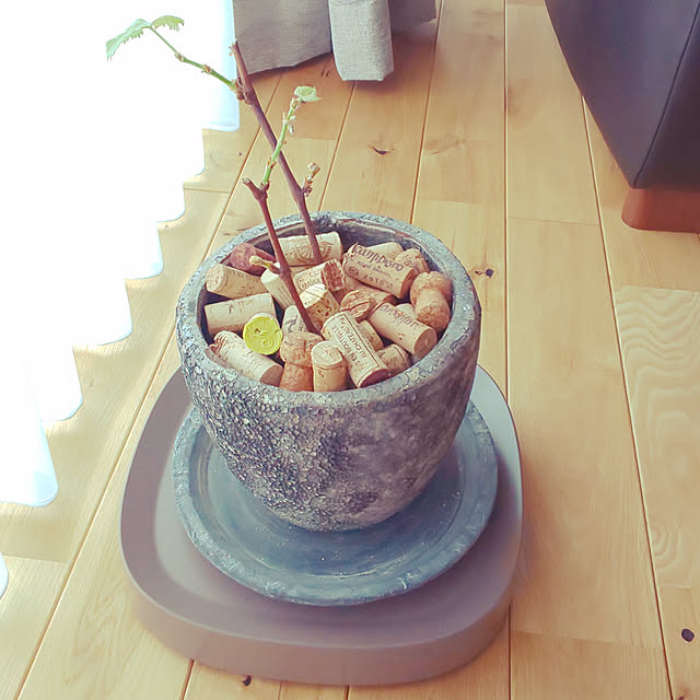 asatarochanさんの実例写真