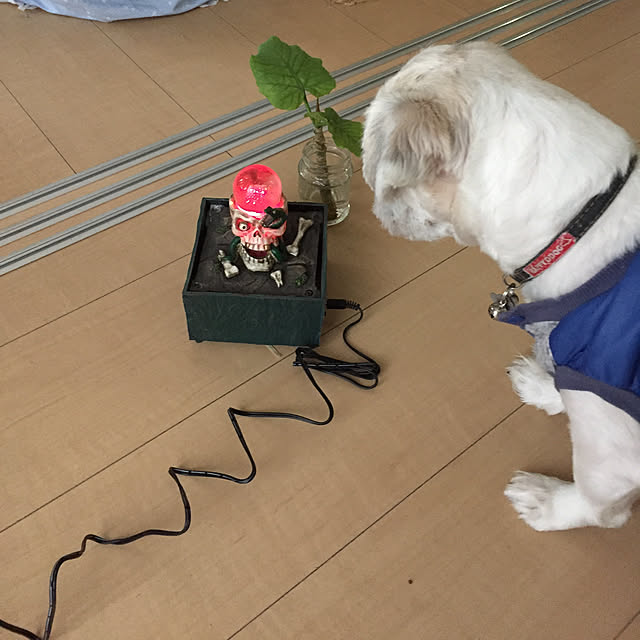 emiさんの実例写真