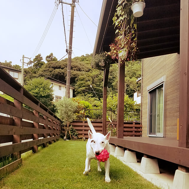 kimuneisanさんの実例写真