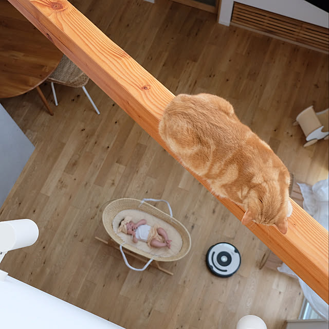 shiiiさんの実例写真